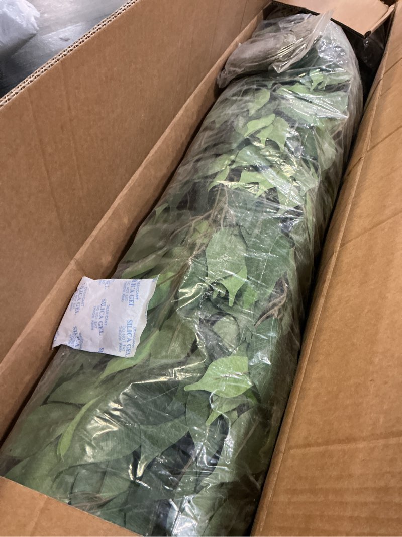 Condition photo showing New/Like New for 7ft Large Ficus Artificial Trees with Natural Curved Trunks, 84" Tall Lush Faux Tree for Home Decor Indoor, Green Lifelike Fake Ficus Tree Artificial Plants in Pot