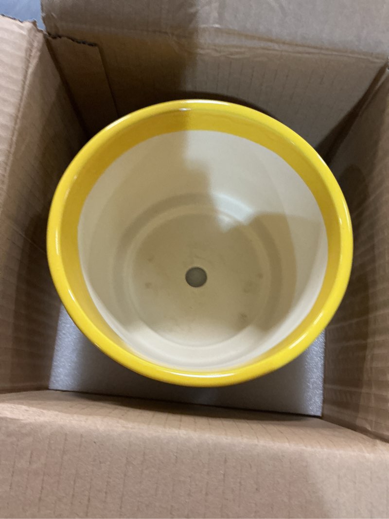 Condition photo showing Good Condition for eightpot 6 inch pots for plants, ceramic pots for plants with drainage holes and tray, round planter for indoor outdoor, modern plant pot, decorative flower pot, table decor, teacher gift, yellow