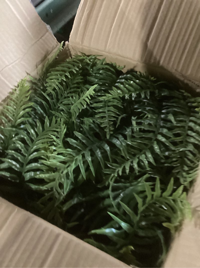 Condition photo showing New/Like New for 2 set fake ferns with hanging baskets, realistic fake hanging plants, uv resistant artificial ferns outdoor faux plants for front porch patio garden home décor, no assembly required