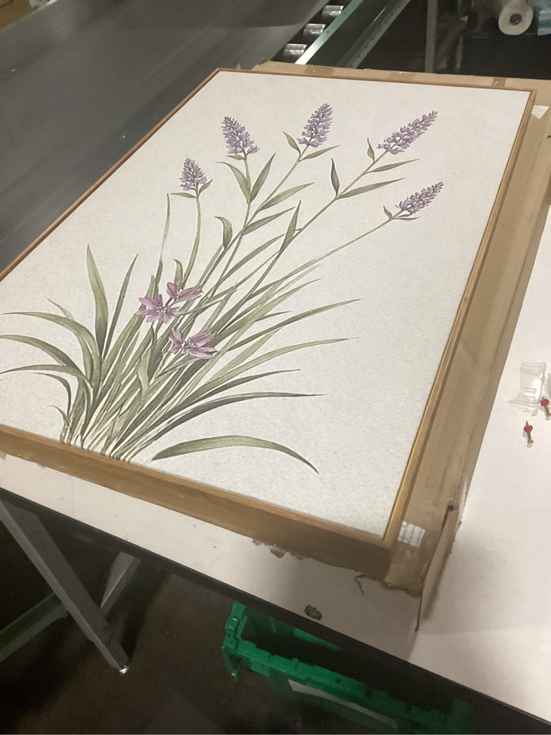 Condition photo showing Good Condition for similar WRFON Framed Botanical Canvas Wall Art Set of 3, Watercolor Floral Prints, Framed Flower Wall Decor for Bedroom Bathroom Living Room, 12x16 Inch Each Pink Flower(Framed) 16\"L x 12\"W