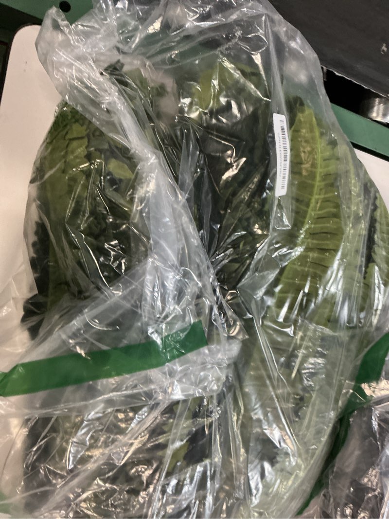 Condition photo showing As Is for forest prince 35" ferns artificial bush plants large, 2 artificial boston ferns with 39 fronds for outdoors home decor