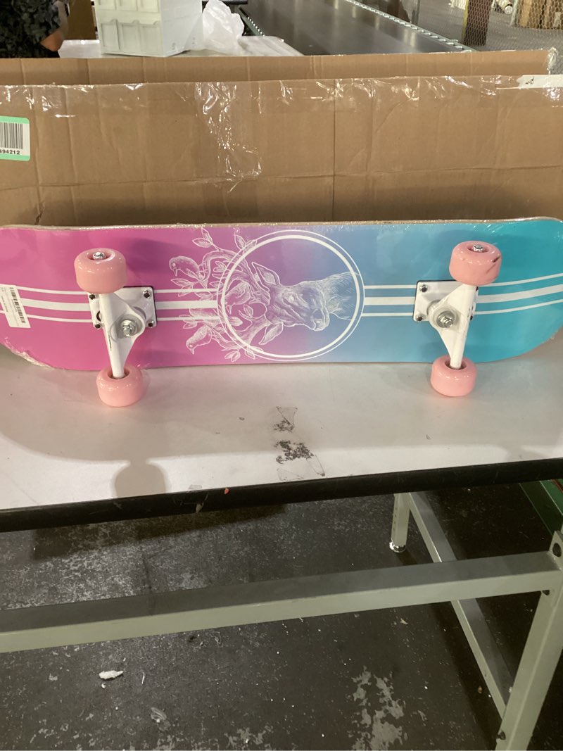 Skateboard,31 x 8 Inch Complete Skateboard, 8-Layer Maple Wood Deck Double Kick Standard Skateboards