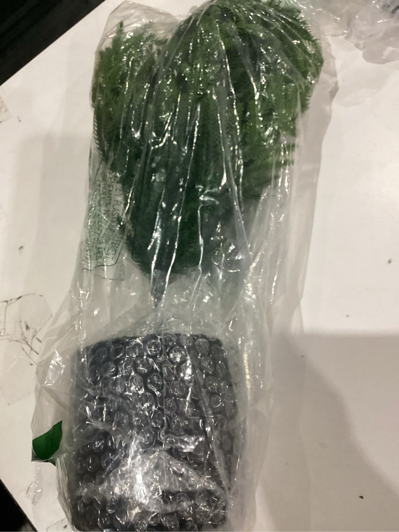 Condition photo showing As Is for 2Ft Artificial Norfolk Pine Tree with Pot, 24" Real Touch Small Christmas Tree, Table Top Christmas Tree for Front Porch Table Indoor Outdoor Decor