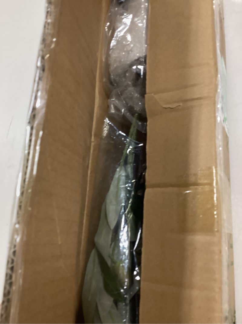 Condition photo showing New/Like New for Small Artificial Faux Olive Tree, 24" Fake Olive Tree, Olive Trees Artificial Indoor in a White Pot, Olive Branches, Olive Stems for Home Decor, Tabletop Greenery Decor, Small Artificail Plant Indoor 1 2ft