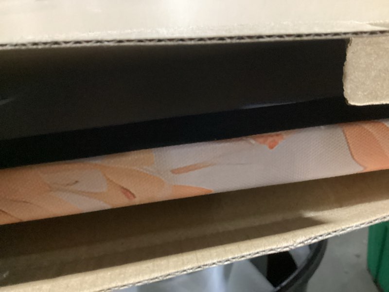 Condition photo showing As Is for AIYISU Colorful Flowers Wall Art Daisy Poppy Canvas Prints Pictures Oil Painting Style Red Wildflowers Bathroom Wall Decor Nature Scenic Artwork for Living Room Bedroom Kitchen Home Decorations 24x36 24x36in Flowers