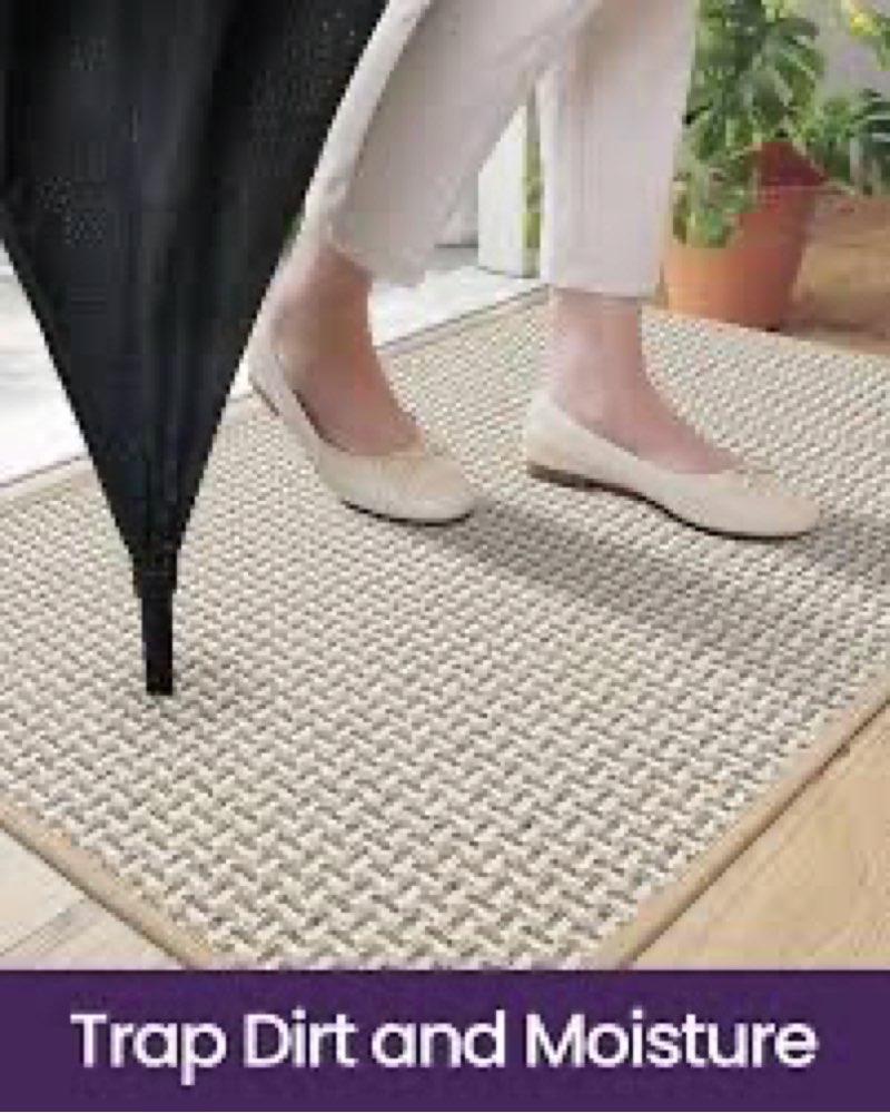 DEXI Dirt Trapper Door Mat, 20x31 Washable Doormat, Dirt Resistant and Absorbent, Easy Clean Low-Pro similar 