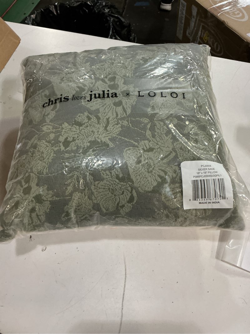Condition photo showing Good Condition for loloi chris loves julia x matilda silver sage 18'' x 18'' pillow classic silver sage