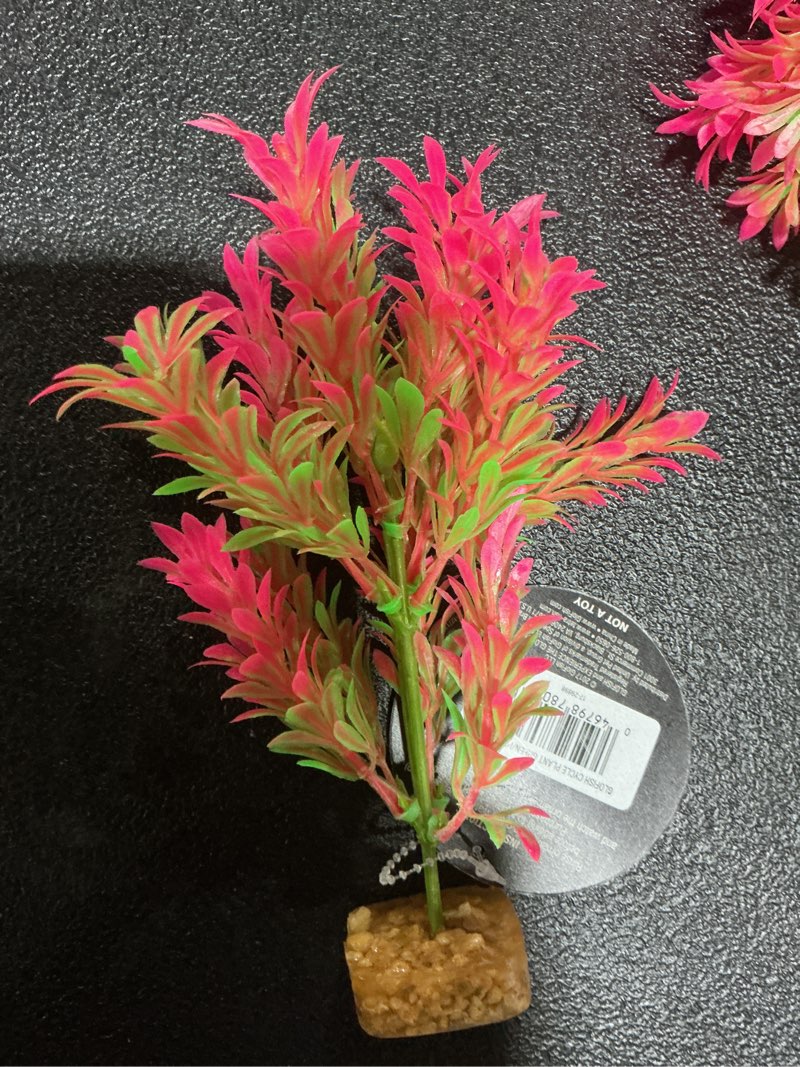 Condition photo showing Good Condition for GloFish Plant Aquarium Décor, Purple and Pink Large, Fluorescent Under Blue LED Light
