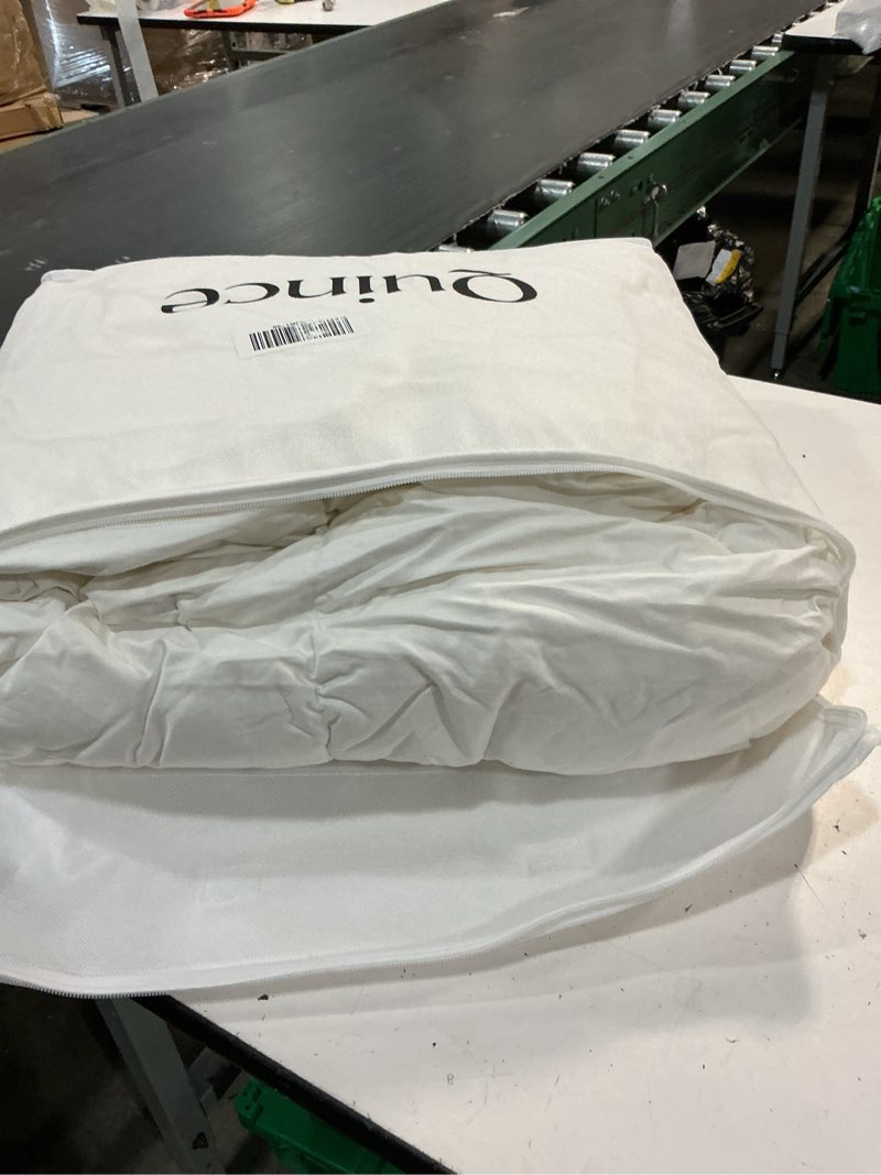 Condition photo showing Good Condition for luxe goose down comforter, full/queen, white