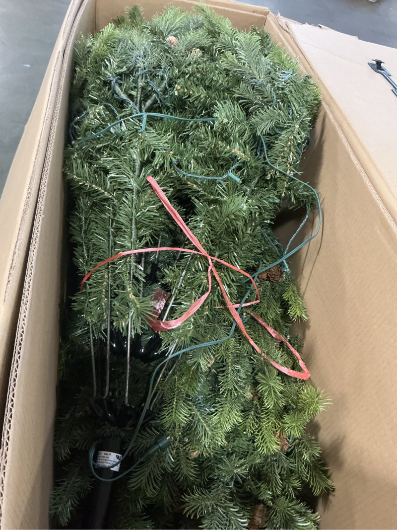 Condition photo showing Good Condition for Holiday Living 7.5-ft Hayden pine Pre-lit Artificial Christmas Tree with Twinkling Multicolor LED