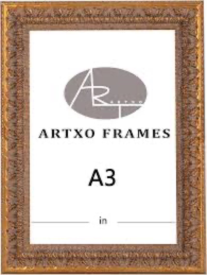 ArtXO A3 11.7x16.5 Picture Frame, Poster Frames with Polished Plexiglass and Back Cover,Hanging Phot