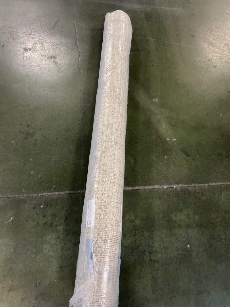 Condition photo showing New/Like New for Loloi Chris Loves Julia Rosemarie 5' x 7'-10" Area Rug in Sage/Blush - Classic No-Shed Area Rug, Soft Living Room Rug, Antique Inspired Modern Rug for Living Area, Bedroom, Dining Room Sage / Blush 5' x 7'10" (Rectangular)