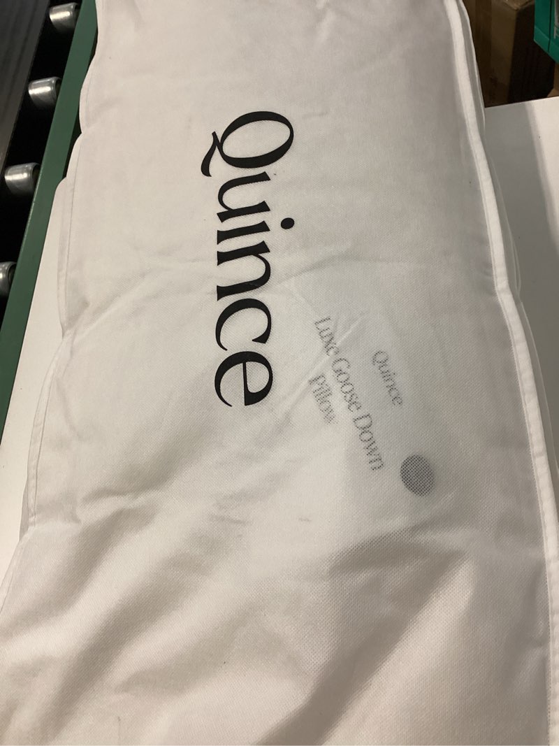 Condition photo showing Good Condition for quince luxe goose down pillow