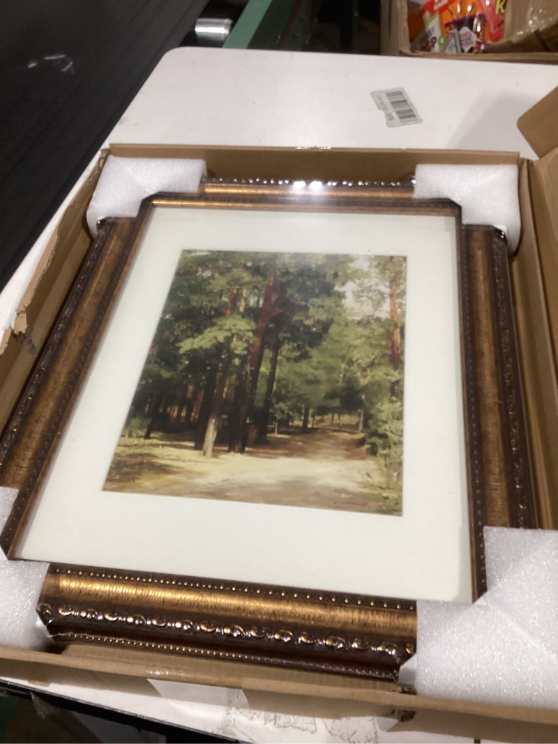 Condition photo showing New/Like New for 11x14 Gold Picture Frame, Ornate Vintage Picture Frames for Wall or Tabletop Display, 11 x 14 Photo Frame Gold with Real Glass, Display Poster 8x10 with Mat or 11x14 without Mat for Antique Déco