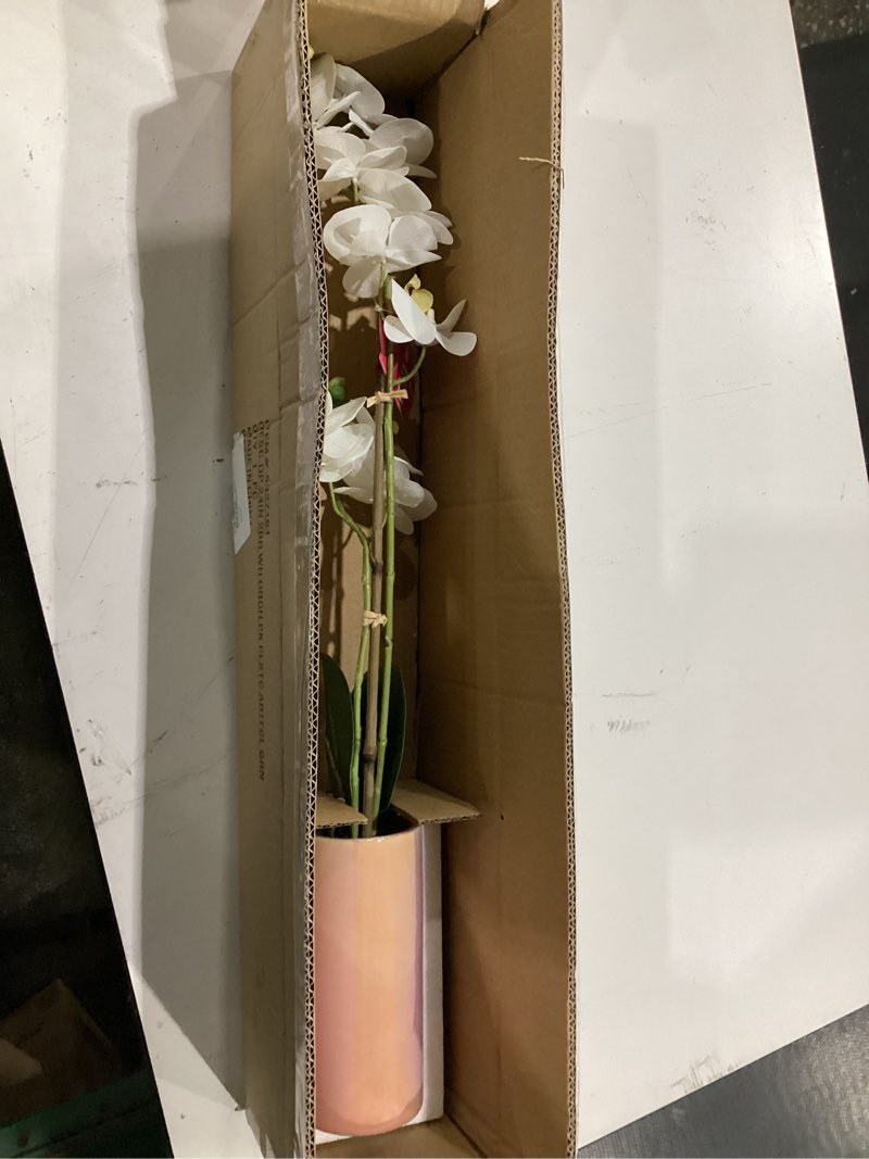 Condition photo showing New/Like New for dolly parton white artificial orchid in pink ceramic pot, 9.8x5.5x24 inch