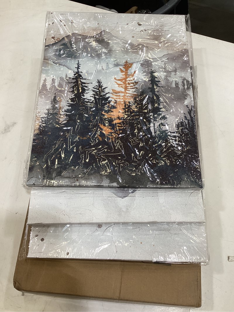 Condition photo showing Good Condition for dzrwubhs canvas wall art for bedroom modern wall decor for living room office decorations mountain landscape wall pictures foggy forest vintage paintings artwork bathroom home decor prints 3 piece 12x16inches*3pcs fog forest watercolour paintings
