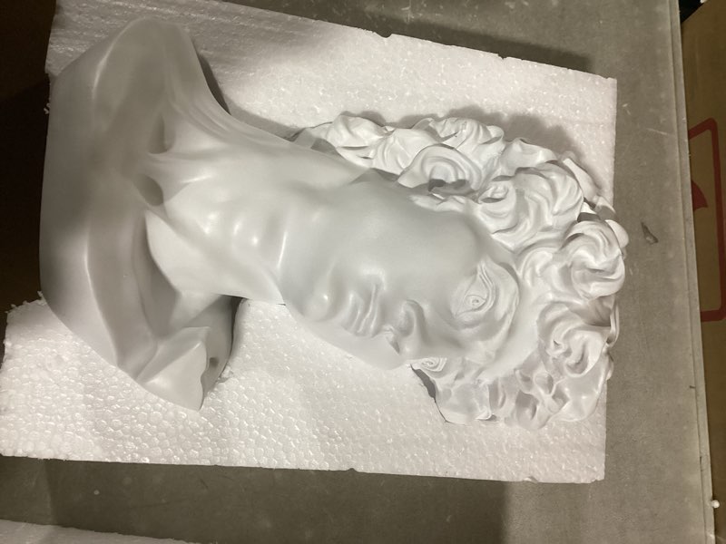 Condition photo showing New/Like New for 11.8 Inch Classic Greek Michelangelo David Bust Statue Replica Sculpture Figurine for Artist David Sculpture-30cm Height