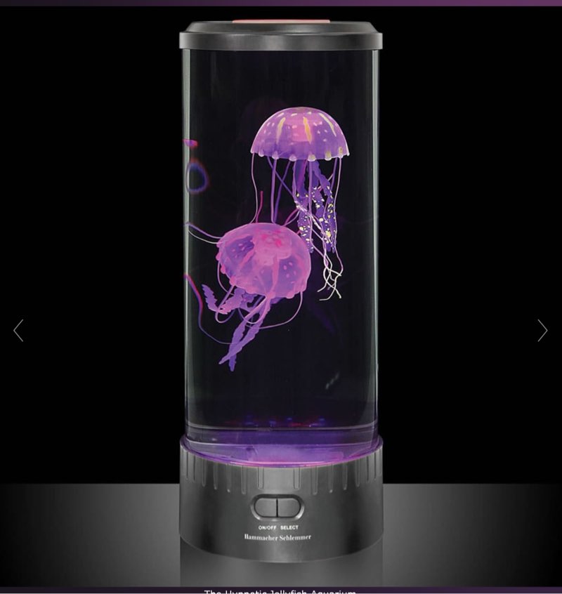 The Best Jellyfish Aquarium