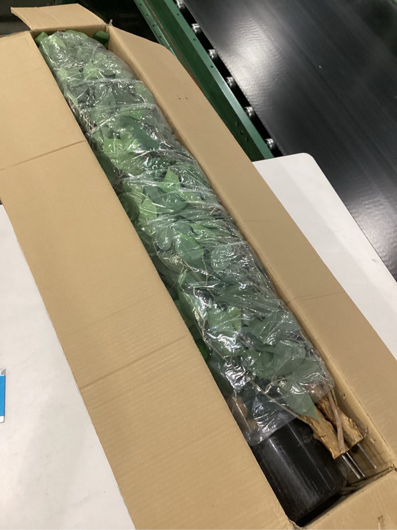 https://lotting-media.assets.bidfta.com/lotting_7ffd71ee-2e7d-49f9-9a06-2e8dc4d8c4d8