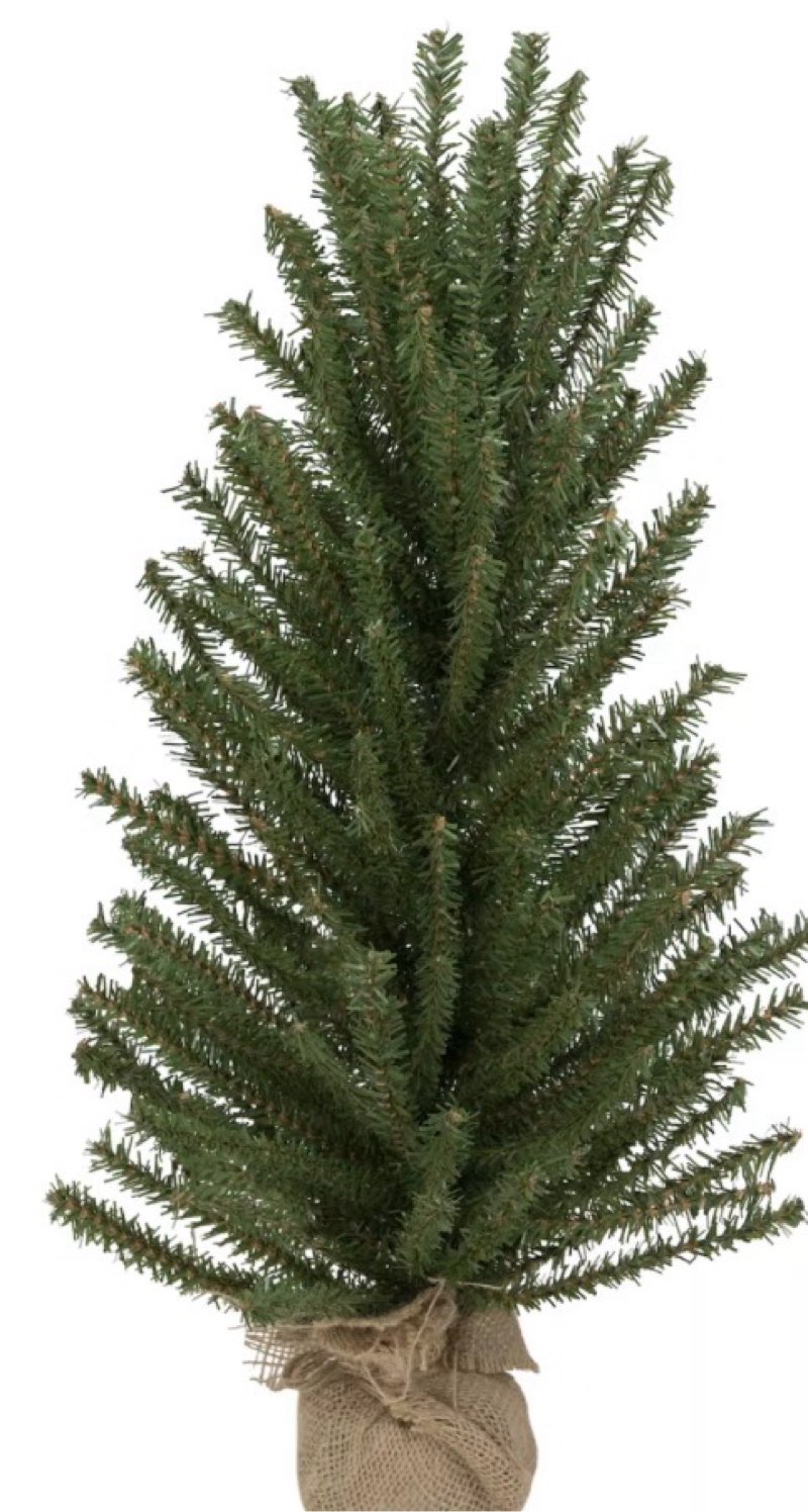 24" Traditional Scottsdale Mini Pine Artificial Christmas Tree with Burlap Unlit