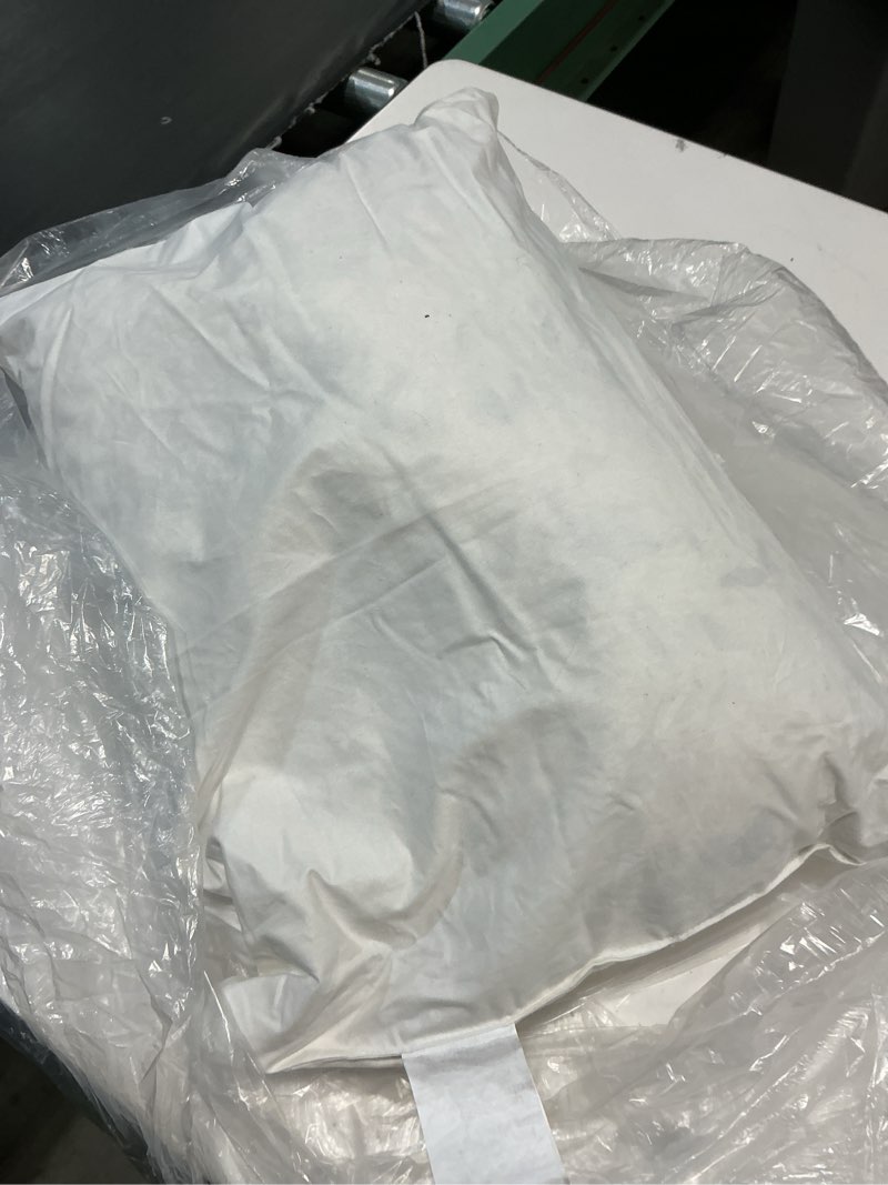 Condition photo showing As Is for premium feather pillow insert (set of 1), 12x20, no color