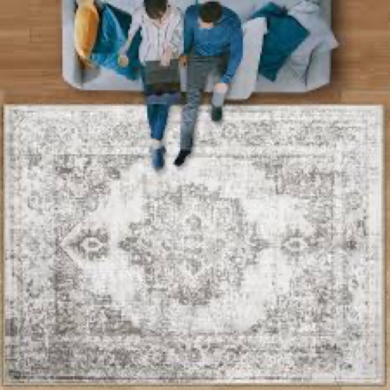 Area Rug 5x7 Vintage Rug: Washable Indoor Medallion Rugs Low Pile Distressed Floor Carpet Retro Acce