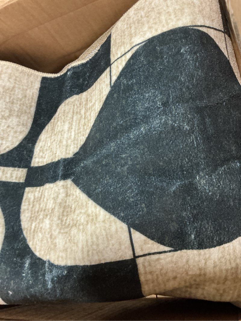 Condition photo showing Good Condition for Latte&Fog 5x7 Area Rugs for Living Room Bedroom, Black Vintage Washable Rug, Boho Non Slip Low Pile Carpet for Dining Room, Dorm, Classroom, College Dorm, Farmhouse and Home Office - Black Beige Black Beige 5' x 7' (Rectangular)