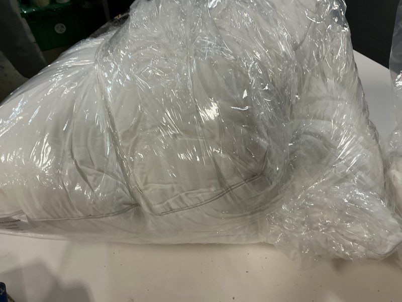 Condition photo showing Good Condition for oubonun 20 x 20 throw pillow inserts, firm and fluffy decorative square pillows for couch bed sofa with soft cotton cover white cushion with down alternative pack of 2 20x20 inch (pack of 2)