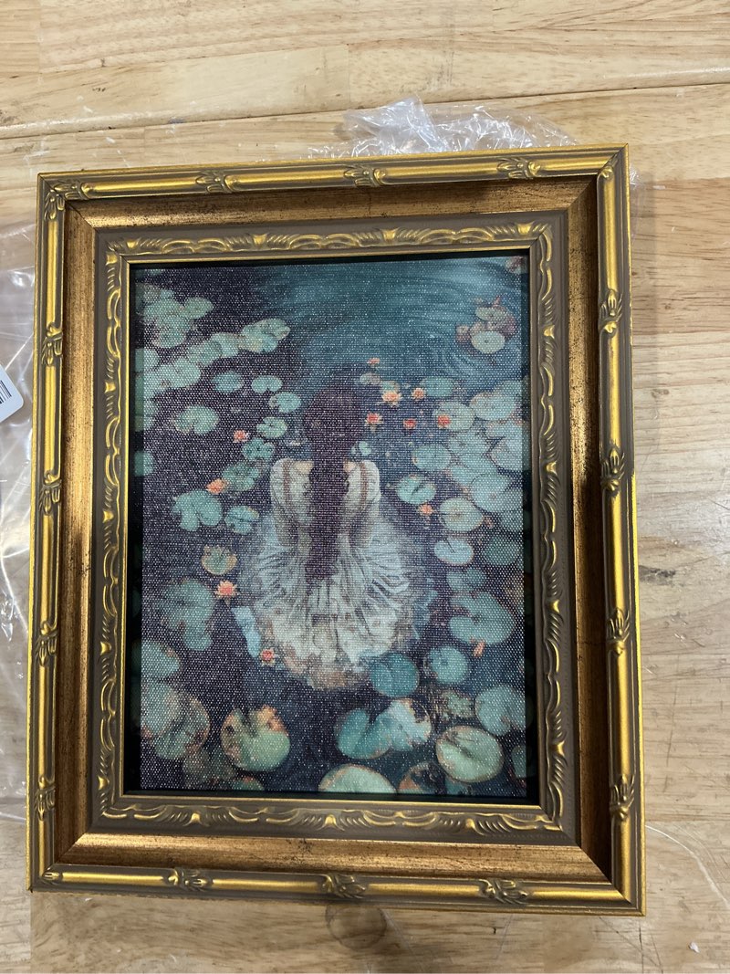 Condition photo showing Good Condition for 1 piece moody victorian wall art woman in the lake dark academia posters prints gothic dark cottagecore halloween aesthetic paintings artwork framed dark academia