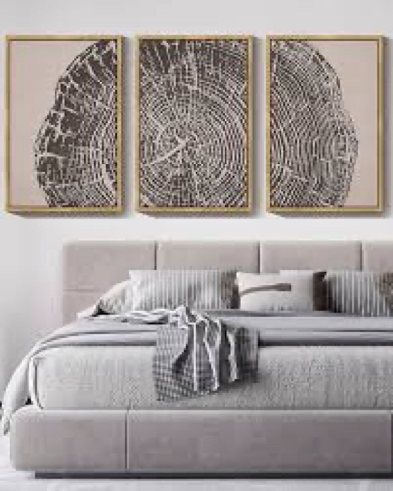 PHOPAGO Farmhouse Vintage Framed Wall Art Large 16x24in Set Gray Wood Tree Ring Spirals Nature Abstr