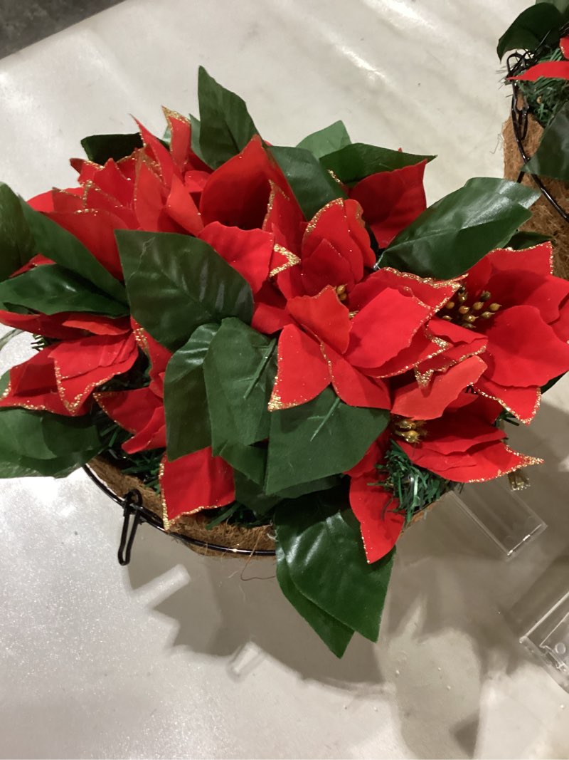 Condition photo showing Good Condition for HyDren 2 Pack Pre Lit Artificial Poinsettia Flowers Christmas Hanging Basket 2 Pcs Colorful LED Stri