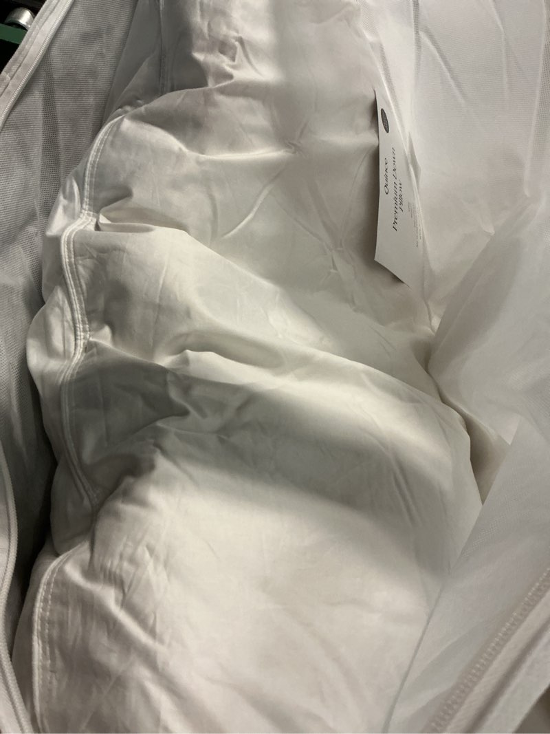 Condition photo showing Good Condition for premium down pillow, king, medium