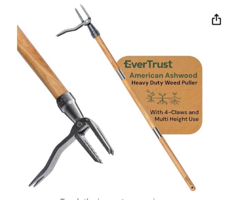 4-claw stand up weed puller tool with long handle - adjustable 30"- 44" heavy duty metal head weeder tool with american ashwood handle, easy gardening weed removal, no bending or kneeling