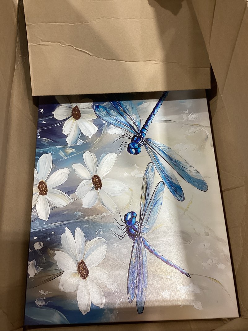 Condition photo showing As Is for SWQYLB Dragonfly Canvas Wall Art for Bathroom Watercolor Dragonfly Framed Painting Floral Dragonflies? Picture Prints for Home Bedroom Decor (Blue, 16L x 24W) Blue 16L" x 24W"