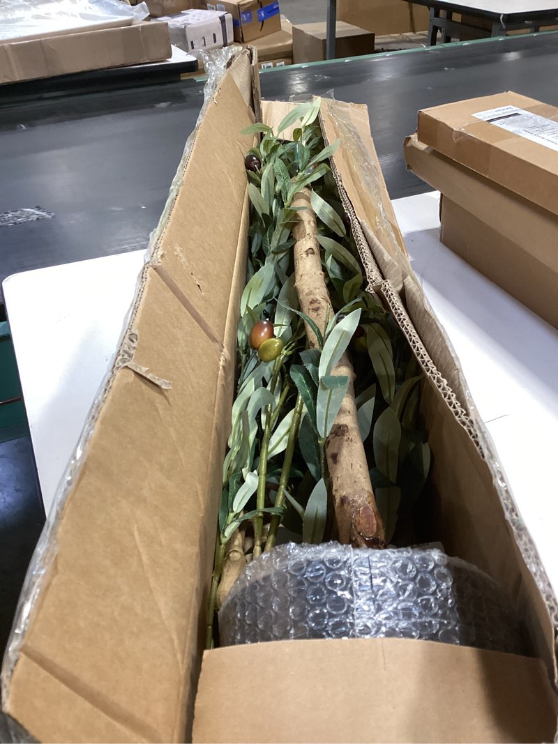 Condition photo showing Good Condition for Bellacat Faux Olive Tree 7ft?Olive Trees Artificial Indoor with Natural Wood Trunk and Realistic Leaves and Fruits. 7 Feet(84in) Fake Olive Tree for Home House Office Décor. 1 7ft