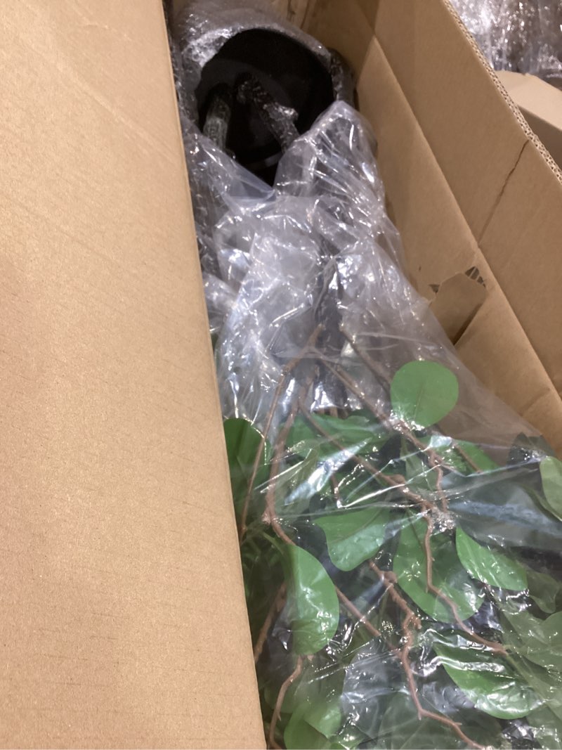 Condition photo showing Good Condition for GarveeHome Artificial Plants Indoor, 5 ft Fake Black Olive Tree with Lights Tall Fake Plants in Plastic Nursery Pot Fake Tree Artificial Trees for Home Decor Office Living Room 5ft