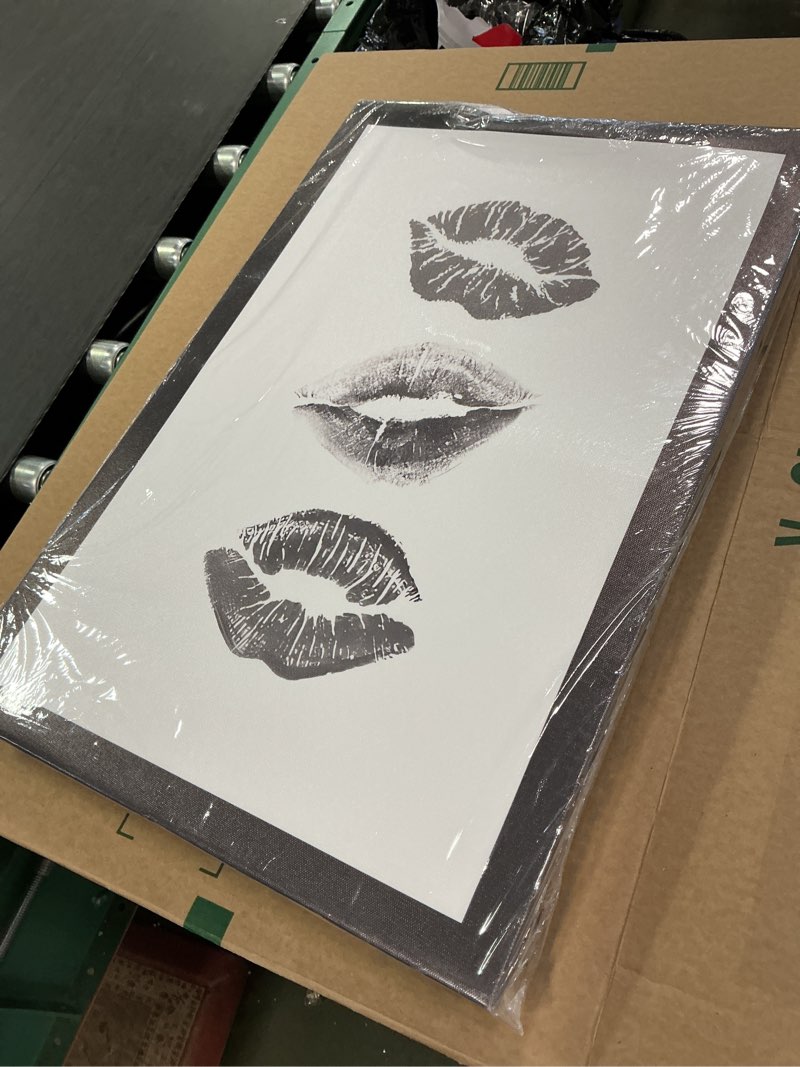 Condition photo showing As Is for Framed Stockholm Style Canvas Wall Art Set of 3 Black and White Trendy Leopard print Lips Prints Pre