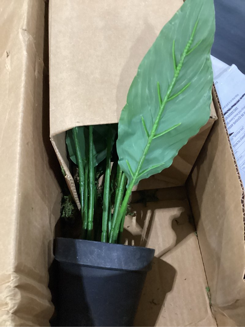 Condition photo showing Good Condition for nearly natural 26” spathiphyllum artificial (real touch) silk plants green