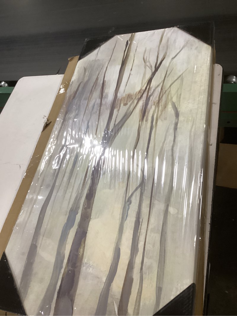 Condition photo showing New/Like New for Renditions Gallery Canvas Nature Art Paintings for Living Room Wispy Birch Trees in a Mist Abstract Hanging Artwork Prints for Kitchen Hotel Bedroom Walls - 16"X32" LT520 32"L x 16"W Wispy Birches I