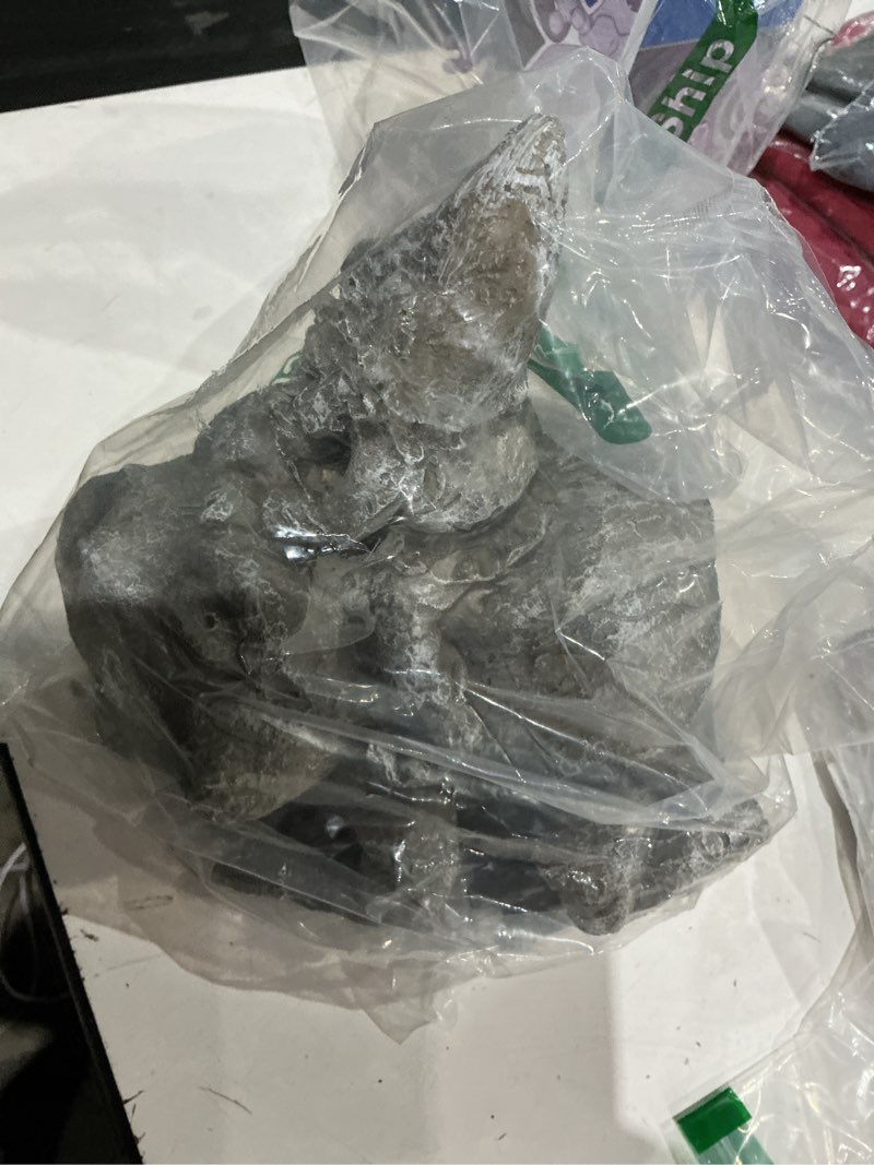 Condition photo showing Good Condition for ct discount store cute, playful cat, gnome and frog downspout extension outdoor decoration (cute and playful gnome and frog downspout)