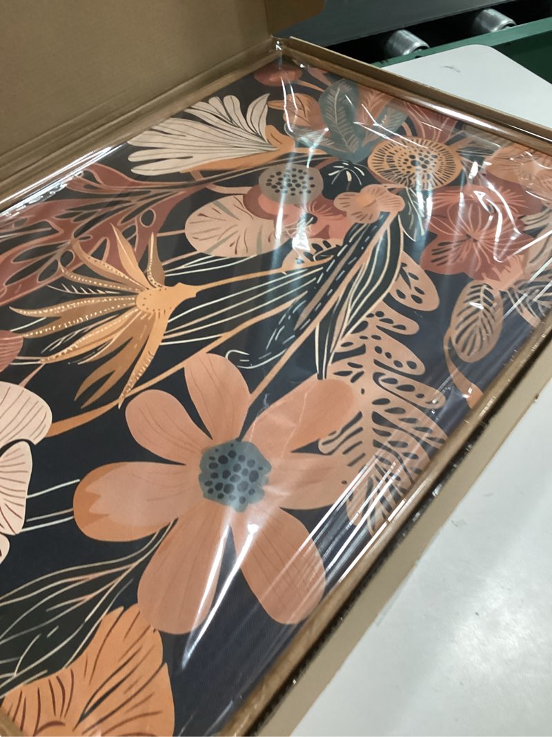 Condition photo showing Good Condition for Tinonedraw Vintage Burnt Orange Floral Framed Canvas Wall Art Set of 3, Boho Chic Flower Artwork, Mid Century Modern Plant Wall Decor, Colorful Neutral Botanical Art Prints for Bedroom Living Room Office 16"x24" Boho Flower 24L" x 16W"