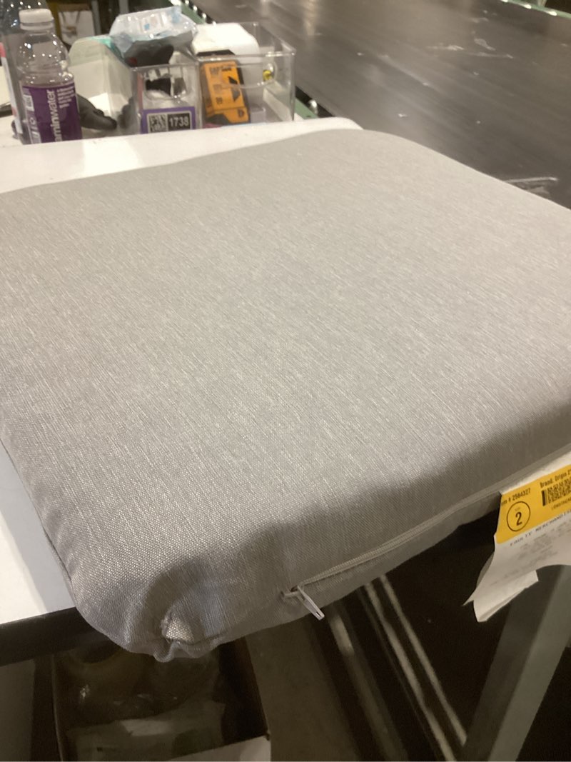 Condition photo showing As Is for allen + roth a+r 3yr gray wi seat pad