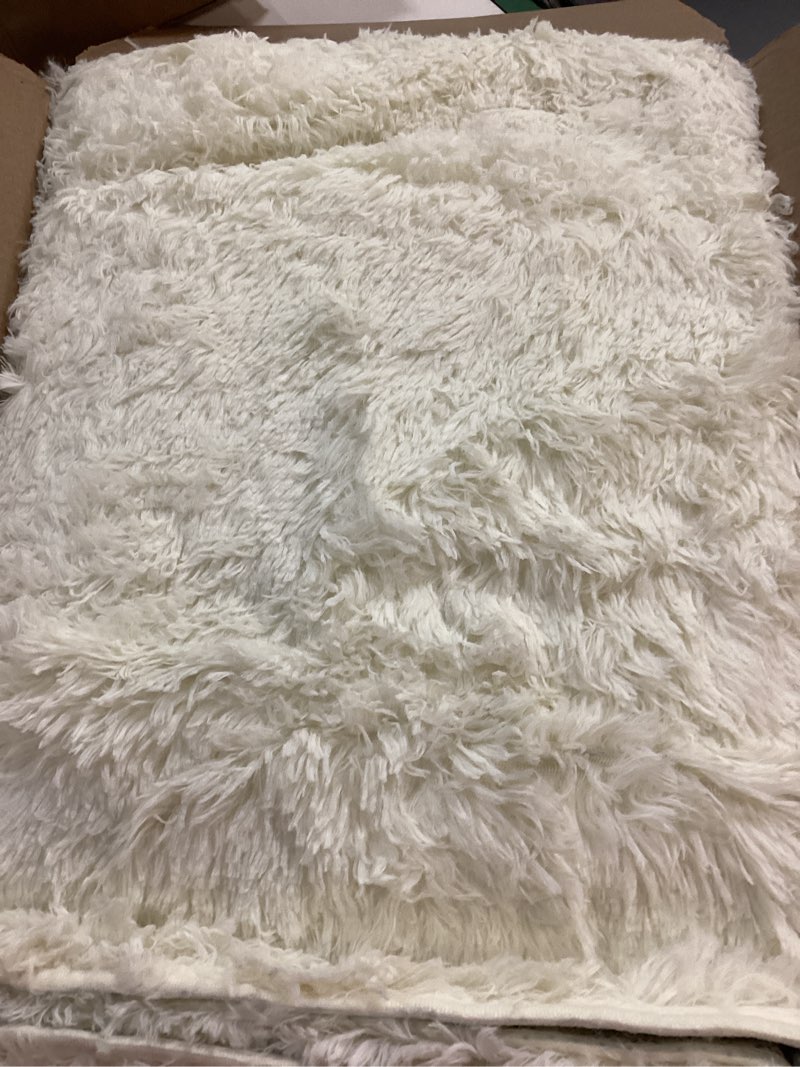 Condition photo showing As Is for Amearea Premium Soft Fluffy Rug Modern Shag Carpet, 5.3x7.5 Feet, Fuzzy Plush Rugs for Living Room Bedroom Kids Room Home Decor, Nursery Non Slip Indoor Shaggy Carpets, Cream 5'3" x 7'7" (Rectangular) Cream