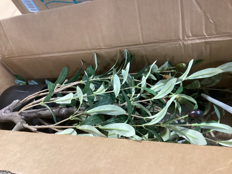 Condition photo showing Good Condition for Olive Tree Artificial Indoor, 4 FT Faux Olive Trees with Planter, Fake Plants with Natural Trunk and Lifelike Fruits for Home Office Decor(1, 4FT)