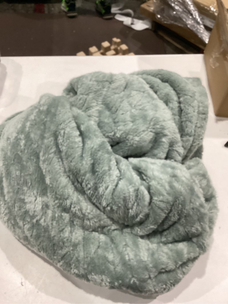 Condition photo showing As Is for better homes & gardens textured velvet plush adult throw, 50” x 72”, green river