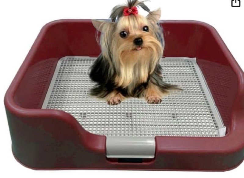 ps korea] indoor dog potty tray - with protection wall every side for no leak, spill, accident - keep paws dry and floors clean (wine) tray only wine