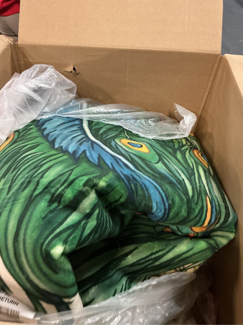 Condition photo showing As Is for Peacock Feather Rug & Home Decor - 5x7 Rug, Peacock Rugs for Living Room Bedroom, Peacock Feathers Carpet, Washable Non Slip Soft Low Pile Indoor Area Rug & Room Decor