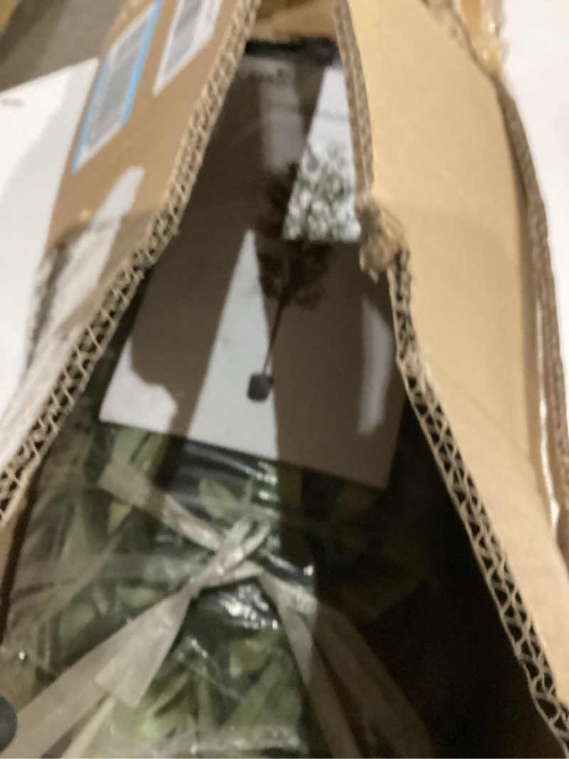 Condition photo showing Good Condition for Artificial Olive Tree, 6FT Tall Faux Olive Trees 72in Outdoor Fake Potted Silk Plant with Trunk and Realistic 648 Leaves and 24 Fruits for Modern Office Home Decor Indoor?1pack? 1pack 6ft