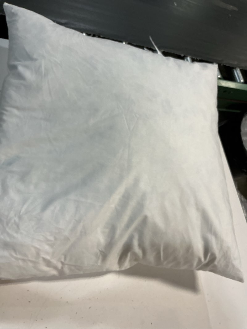 Condition photo showing As Is for quince premium feather pillow insert 20x20