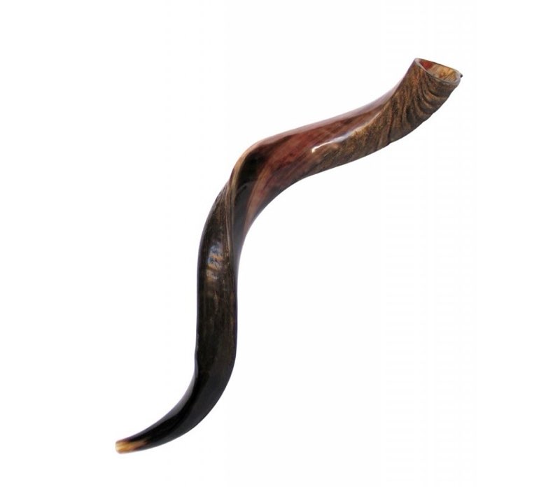 Holy Voice Kosher Kudu Shofar 28"-32" Horn from Israel, Traditional Half-Polished Yemenite Shofar Includes Carrying Bag, Brush and Blowing Guide - Easy Blowing Ancient Musical Instrument